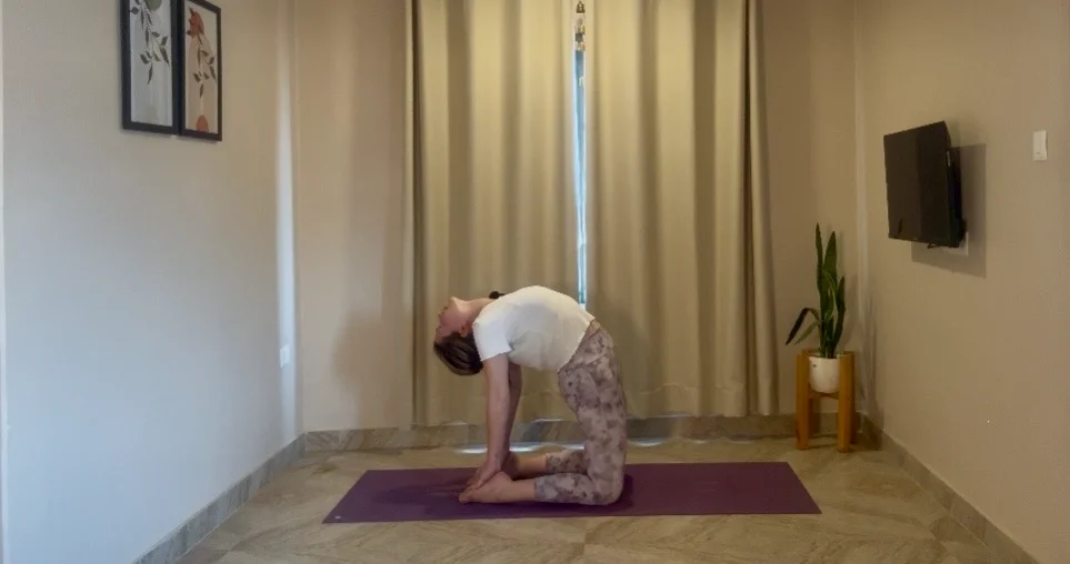 Atelier Iyengar: les arrières