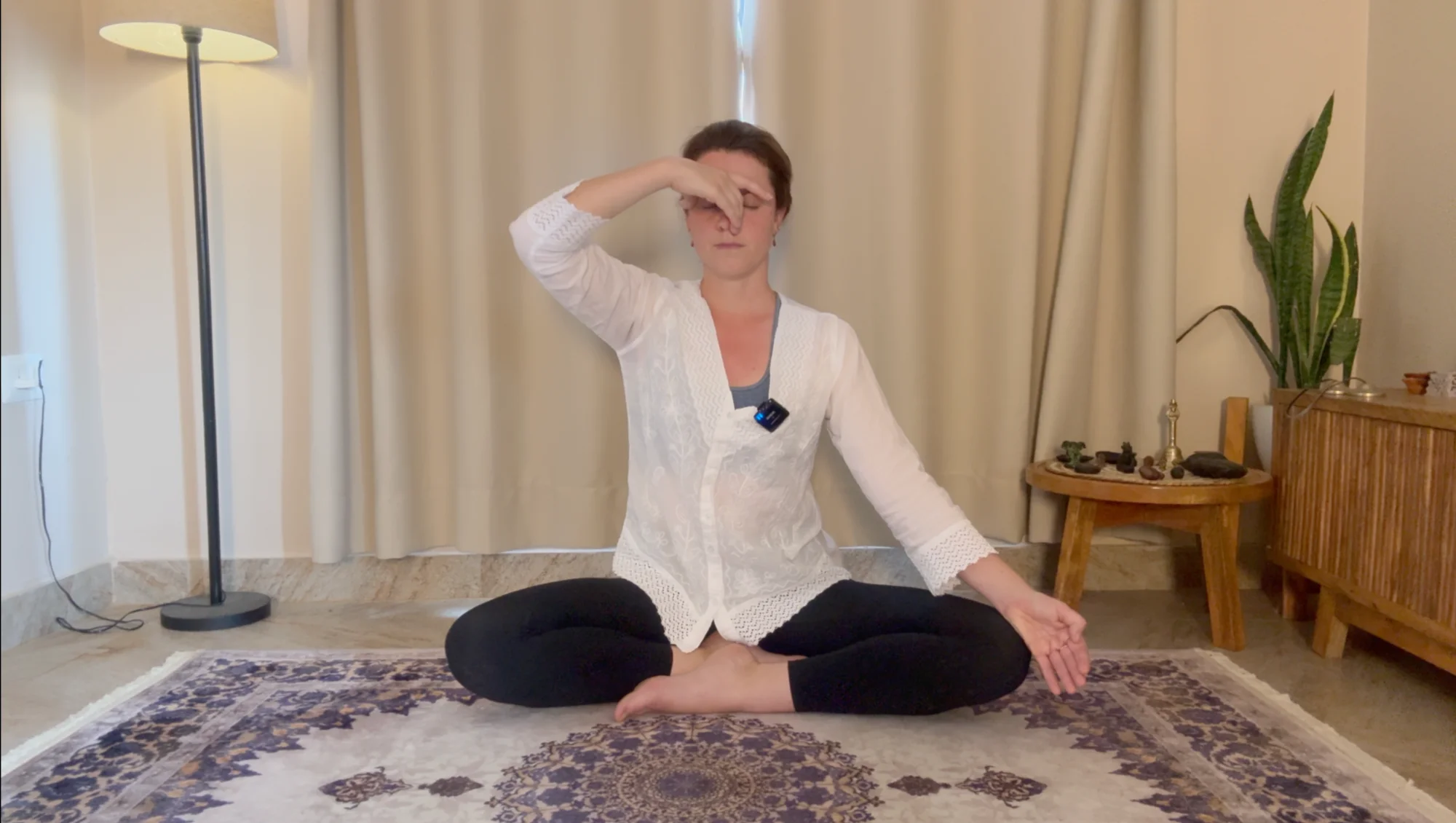 Pranayama Inter 1