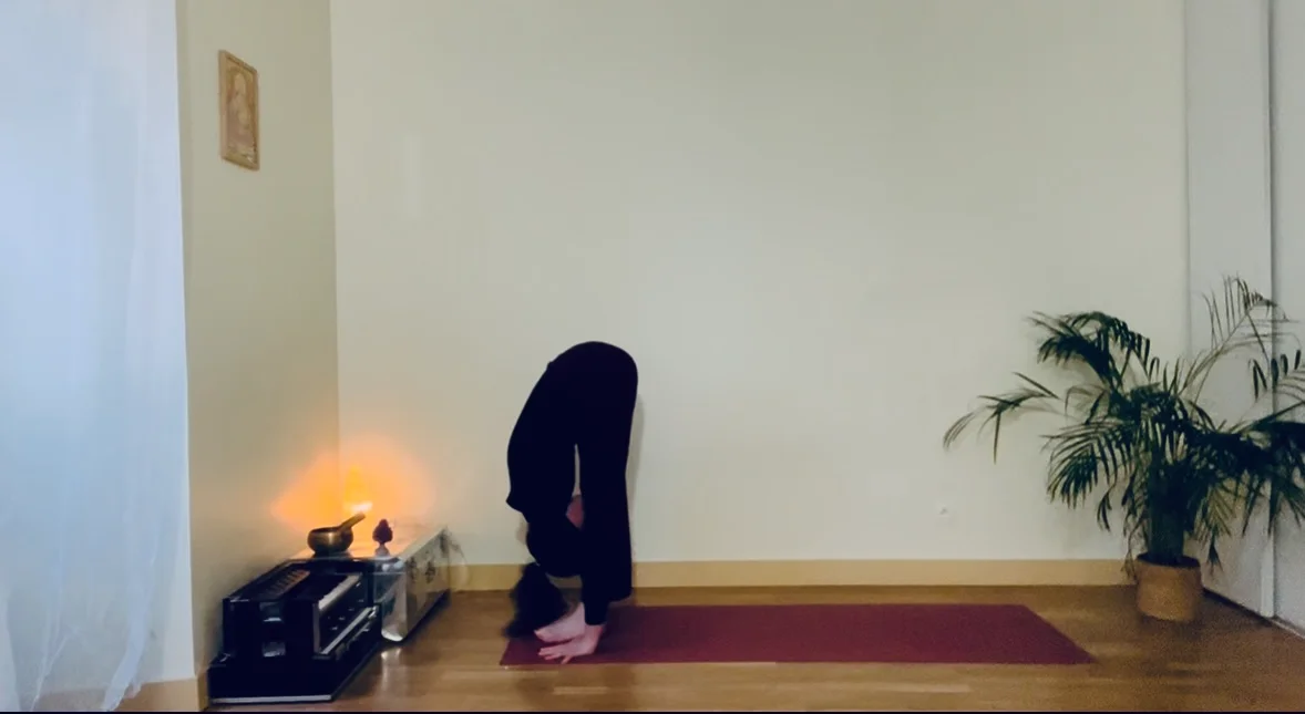 Surya Namaskara 2 - Direction du regard & stabilité