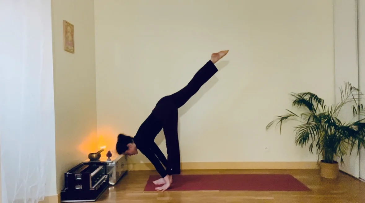 Surya Namaskara 3 - Maîtrise de la gravité