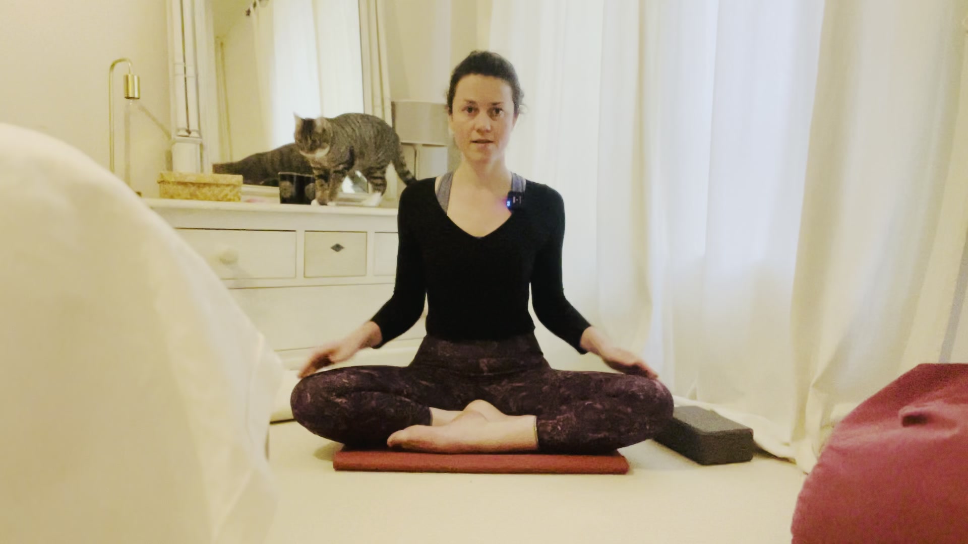 Fondations du pranayama 1 - L'Assise : Stabilité & Respiration